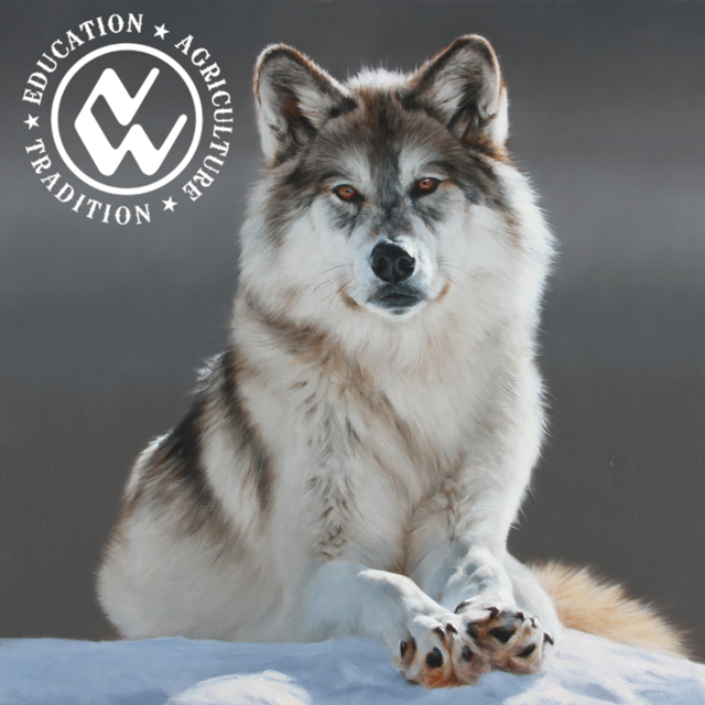 EDWARD ALDRICH WINS ART OF THE WEST & ARTISTS' CHOICE AWARDS