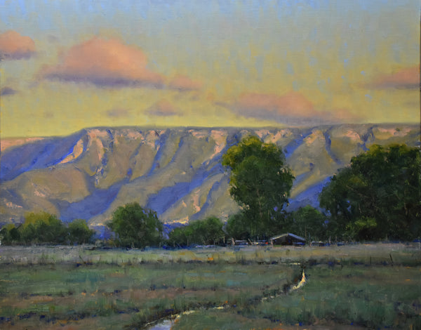 Dan Young