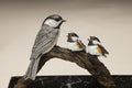 Family Time (Edition of 48) by Eugene Morelli | Bronze | Sage Creek Gallery