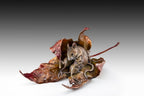 Sheltered (Edition of 50) by Kim Kori | Bronze | Sage Creek Gallery | Side