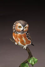 Saw-whet Owl (Edition of 36) by Joan Zygmunt | Bronze | Sage Creek Gallery | Close Up