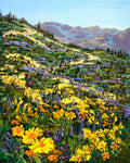Daisy Hill | Joe McKay | Oil | Sage Creek Gallery
