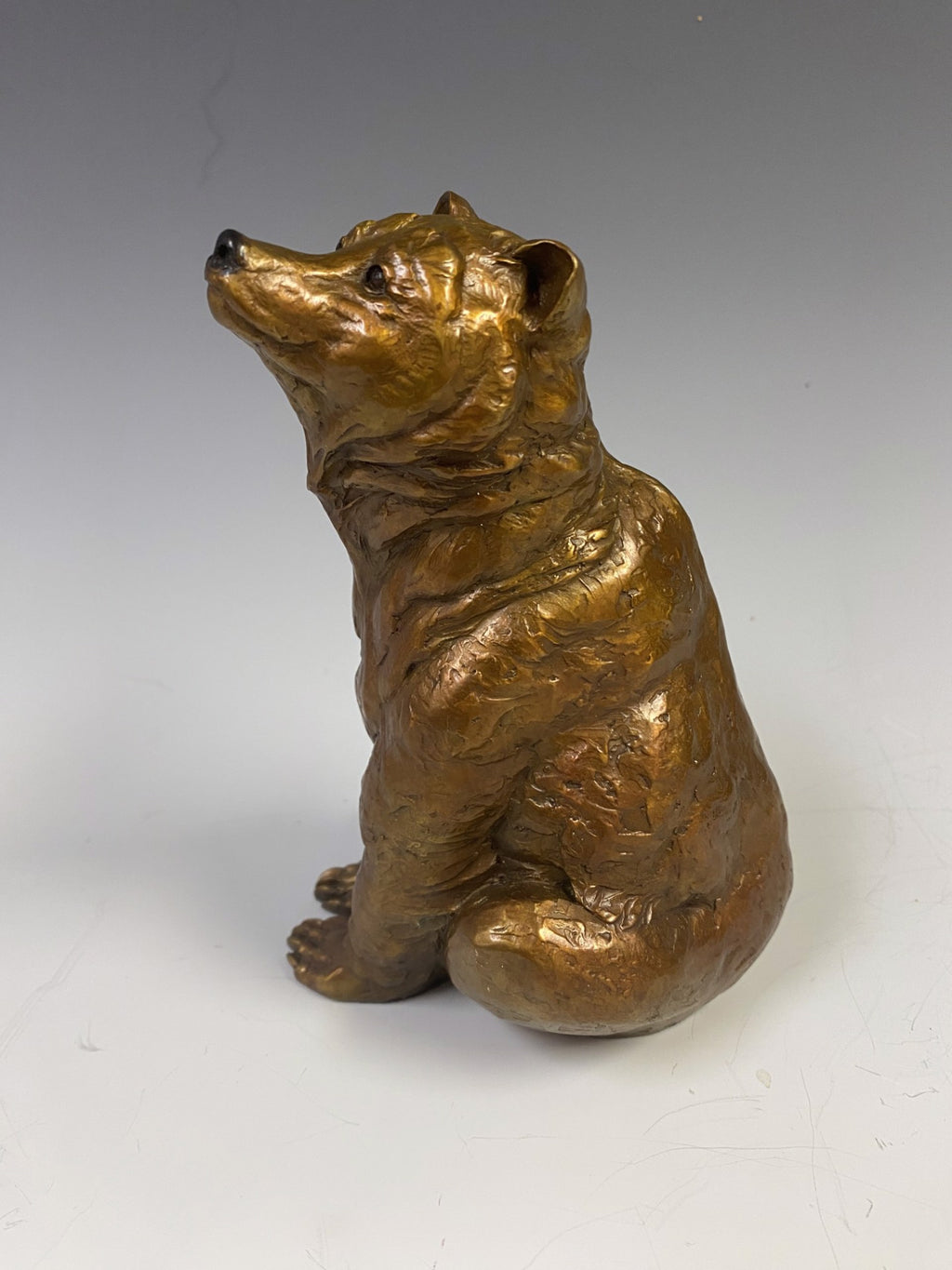 High Country Grizzly (Edition of 48) by Eugene Morelli | Bronze | Sage Creek Gallery | Side