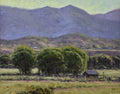 June Morning by Dan Young | Oil | Sage Creek Gallery