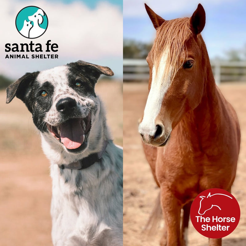 Holiday Horse Shelter Event