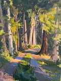 Light on the Other Side | Carla Bosch | Oil | Sage Creek Gallery