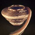 Jane Chavez | Caballo Manchado | horsehair | Side 2