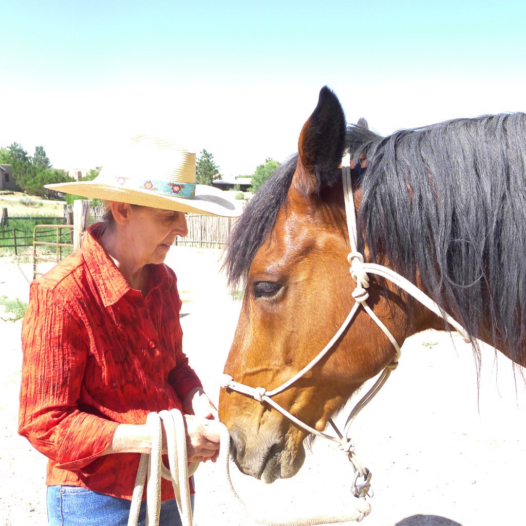 Jane Chavez | Horsehair Sculptor | Sage Creek Gallery