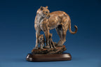 Canyon Shadows (Edition of 35) by Ken Rowe | Bronze | Sage Creek Gallery | Angle