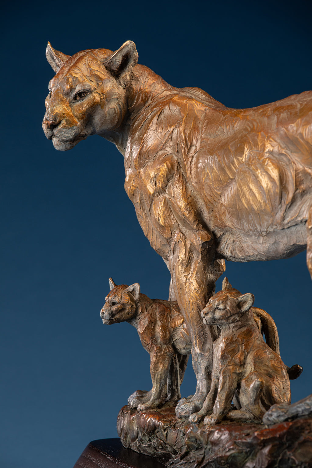 Canyon Shadows (Edition of 35) by Ken Rowe | Bronze | Sage Creek Gallery | Close up