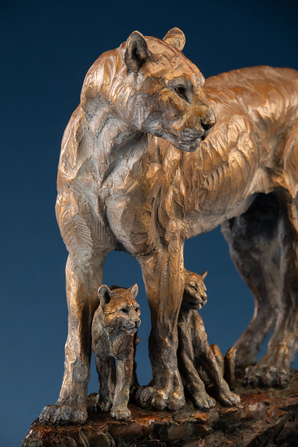Canyon Shadows (Edition of 35) by Ken Rowe | Bronze | Sage Creek Gallery | Front Close Up