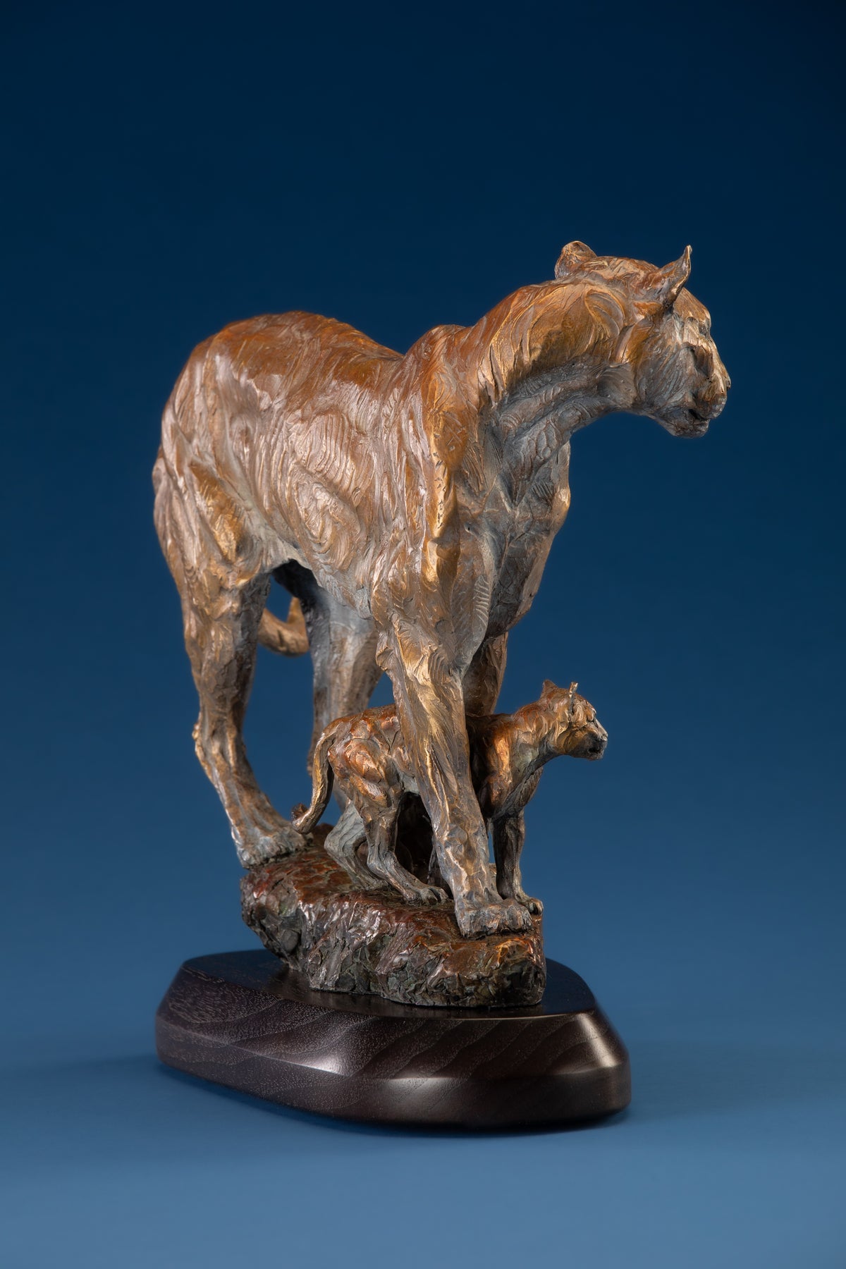 Canyon Shadows (Edition of 35) by Ken Rowe | Bronze | Sage Creek Gallery | Front  Side
