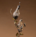 Family Tree II (Edition of 35) by Ken Rowe | Bronze | Sage Creek Gallery | Close Up 4