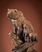 First Year of Many (Edition of 35) by Ken Rowe | Bronze | Sage Creek Gallery | close  Up 1