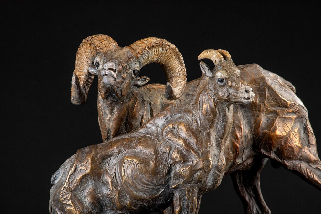Looking for Ewe (Edition of 35) by Ken Rowe | Bronze | Sage Creek Gallery | Close Up