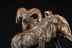 Looking for Ewe (Edition of 35) by Ken Rowe | Bronze | Sage Creek Gallery | Close Up