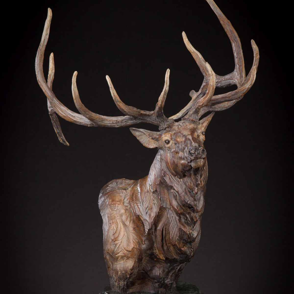 Nobility (Edition of 35) by Ken Rowe | Bronze | Sage Creek Gallery | Front