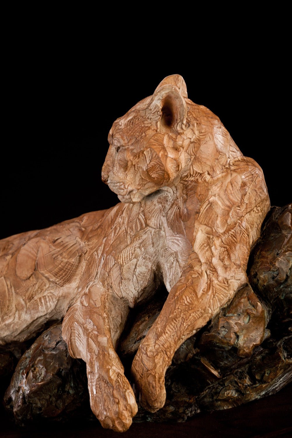 Vantage Point - Master (Edition of 35) by Ken Rowe | Bronze | Sage Creek Gallery | Side