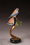 Kestrel on Watch (Edition of 36) by Eugene Morelli | Bronze | Sage Creek Gallery