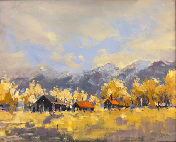 Donald Weber