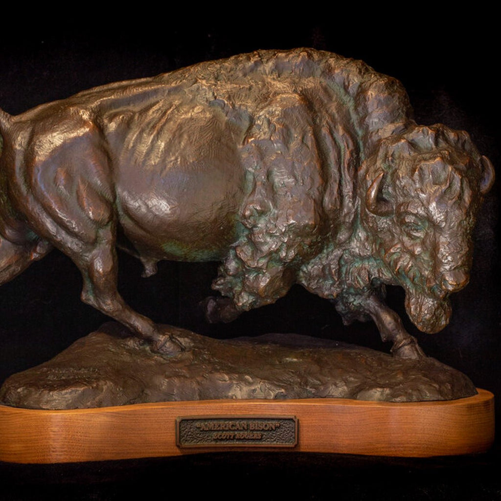 American Bison (Edition of 30) by Scott Rogers | Bronze | Sage Creek Gallery | Image 2