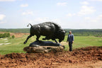 American Bison (Edition of 10) by Scott Rogers | Bronze | Sage Creek Gallery | Image 2