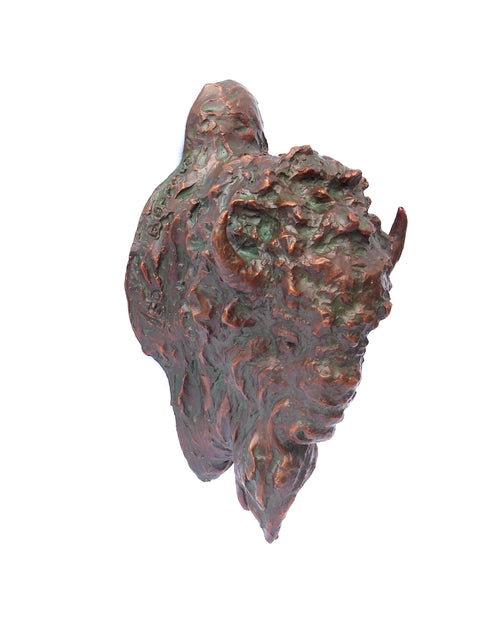 Buffalo Head (Edition of 50) by Scott Rogers | Bronze | Sage Creek Gallery | Image 1