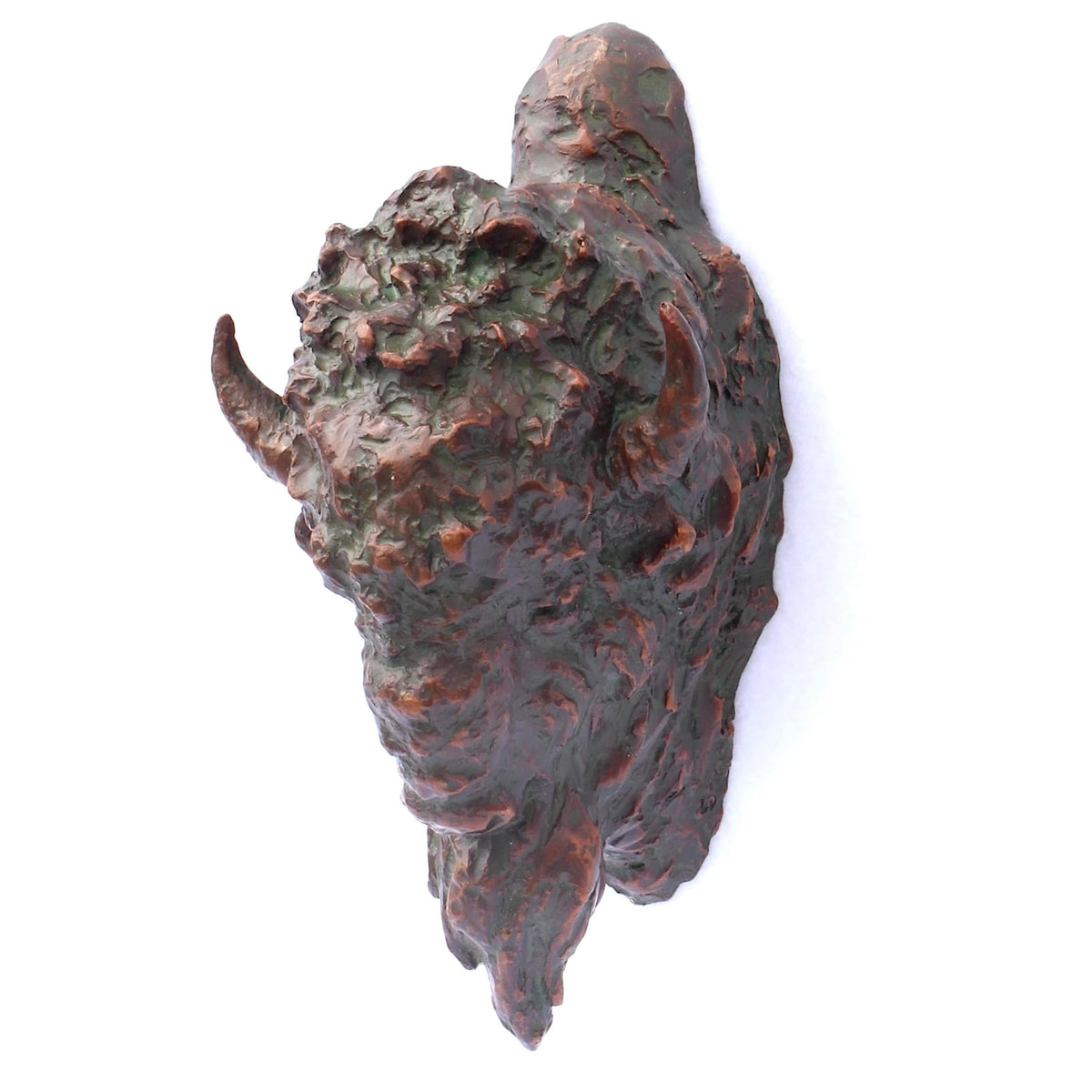 Buffalo Head (Edition of 50) by Scott Rogers | Bronze | Sage Creek Gallery