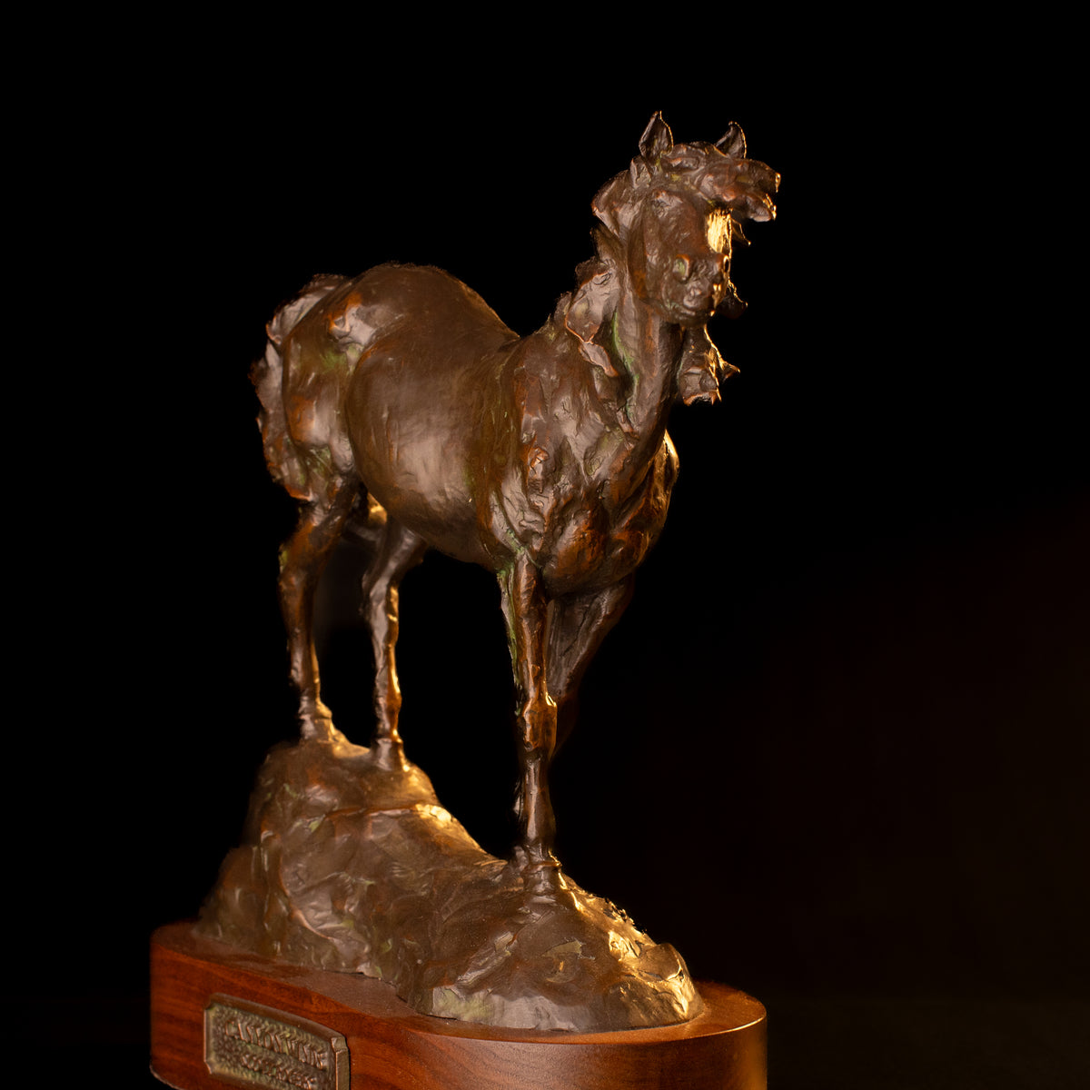 Canyon Winds (Edition of 30) by Scott Rogers | Bronze | Sage Creek Gallery | Image 2