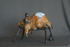 Bear Necessities (Edition of 150) by Walt Horton | Bronze | Sage Creek Gallery | Backside