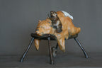 Bear Necessities (Edition of 150) by Walt Horton | Bronze | Sage Creek Gallery | Front
