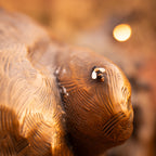 Sweet Tooth (Garden Sized) (Edition of 35) by Walt Horton | Bronze | Sage Creek Gallery | Close Up 2