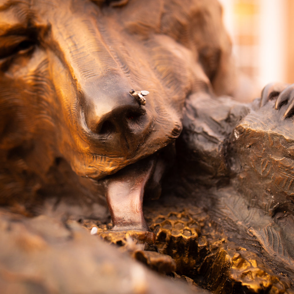 Sweet Tooth (Garden Sized) (Edition of 35) by Walt Horton | Bronze | Sage Creek Gallery | Close Up 4