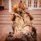 Sweet Tooth (Garden Sized) (Edition of 35) by Walt Horton | Bronze | Sage Creek Gallery | Front
