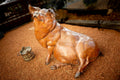 Truffles (Garden Size) (Edition of 35) by Walt Horton | Bronze | Sage Creek Gallery | Side