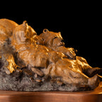 Two Pooped (Edition of 100) by Walt Horton | Bronze | Sage Creek Gallery | Side