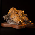 Two Pooped (Edition of 100) by Walt Horton | Bronze | Sage Creek Gallery | Front