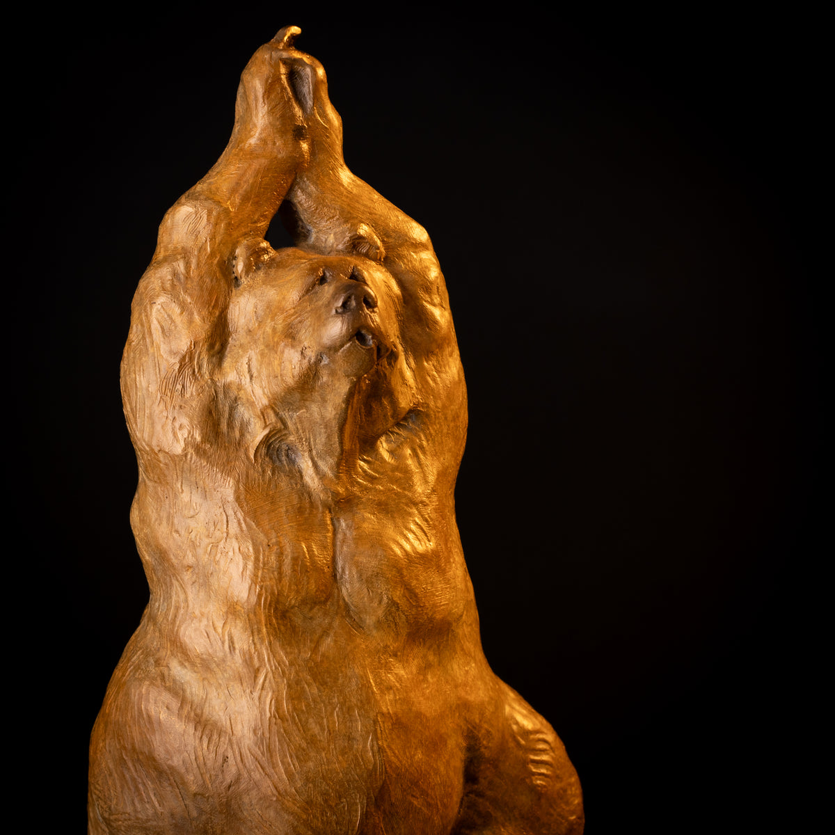 Yoga Bear (Tree Pose) (Edition of 200) by Walt Horton | Bronze | Sage Creek Gallery | Close Up