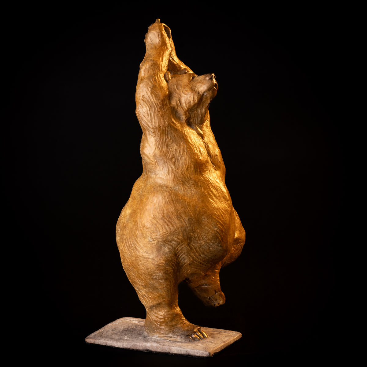 Yoga Bear (Tree Pose) (Edition of 200) by Walt Horton | Bronze | Sage Creek Gallery | Side 1