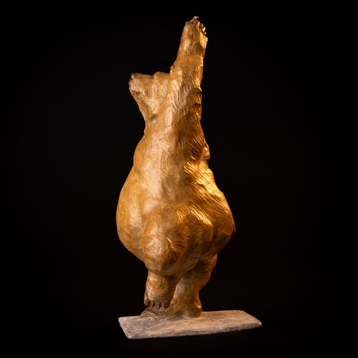 Yoga Bear (Tree Pose) (Edition of 200) by Walt Horton | Bronze | Sage Creek Gallery | Side 2