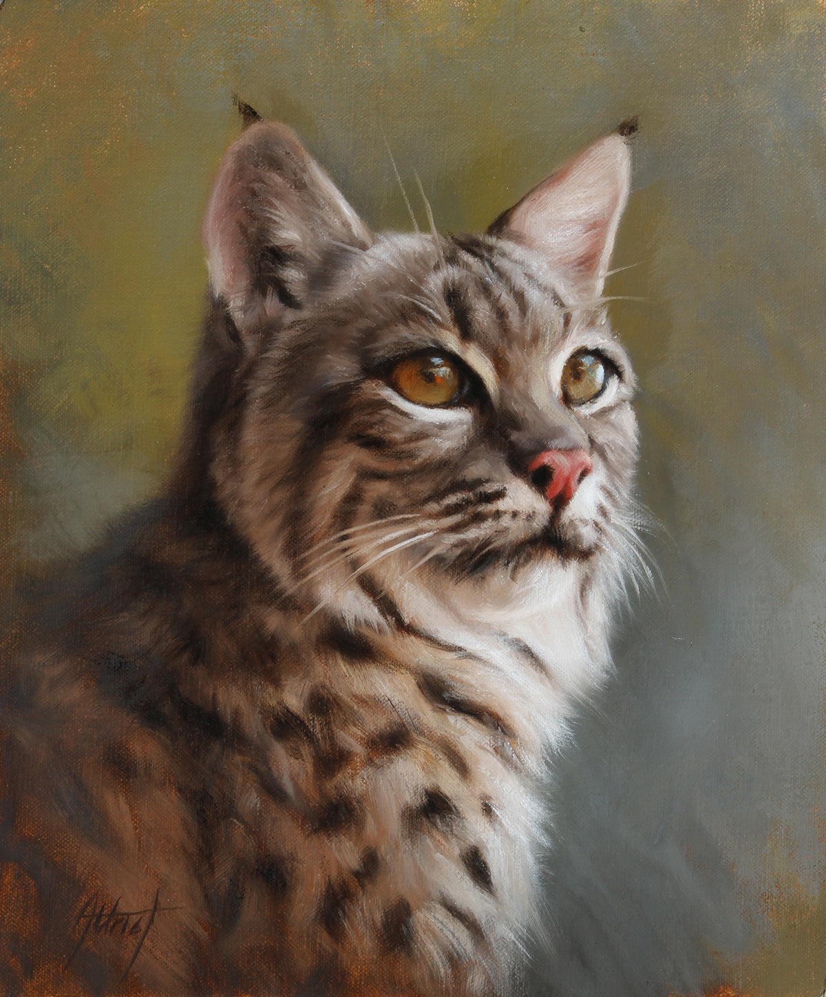 Bobcat Portrait by Ed Aldrich | Oil | Sage Creek Gallery